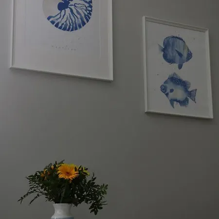 Zeromskiego 17 - Insel Świnoujście